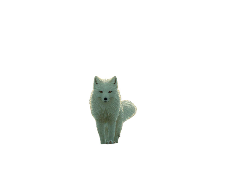 White Fox Moonlight Vinyl Car Decal Sticker – Waterproof & UV-Resistant 8"