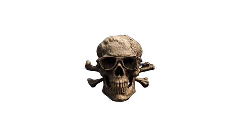 Pirate Skull Plank Vinyl Car Decal Sticker – Waterproof & UV-Resistant 8"