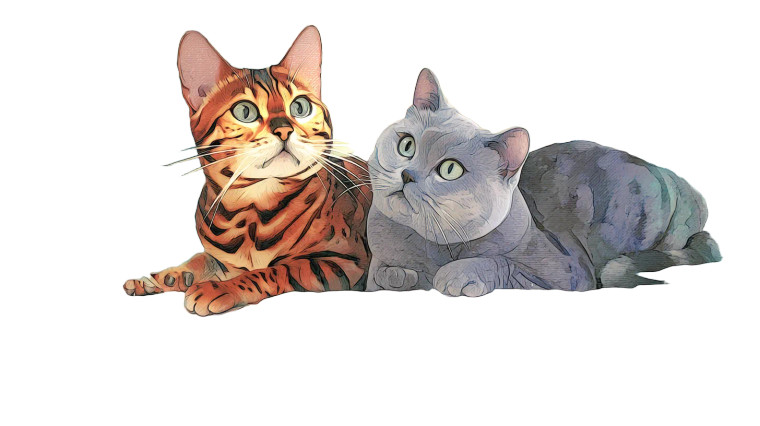 Enchanted Forest Cats Vinyl Car Decal Sticker – Waterproof & UV-Resistant 8"