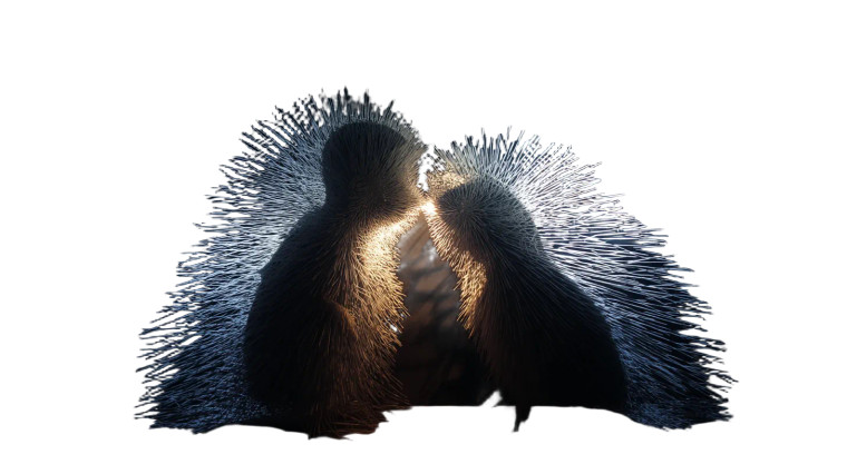 Silhouetted Lovers Hedgehog Vinyl Car Decal Sticker – Waterproof & UV-Resistant 8"