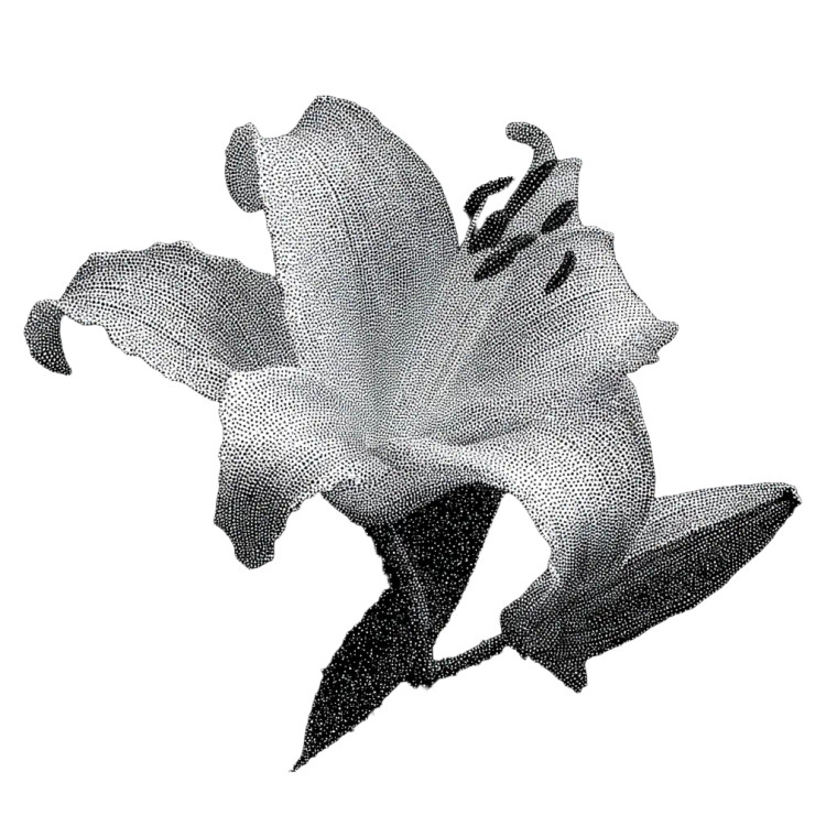 Starry Lily Flower Vinyl Car Decal Sticker – Waterproof & UV-Resistant 8"