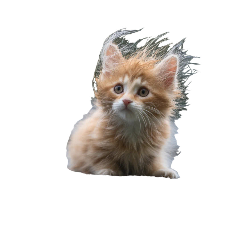 Fluffy Kitten In Storm Vinyl Car Decal Sticker – Waterproof & UV-Resistant 8"