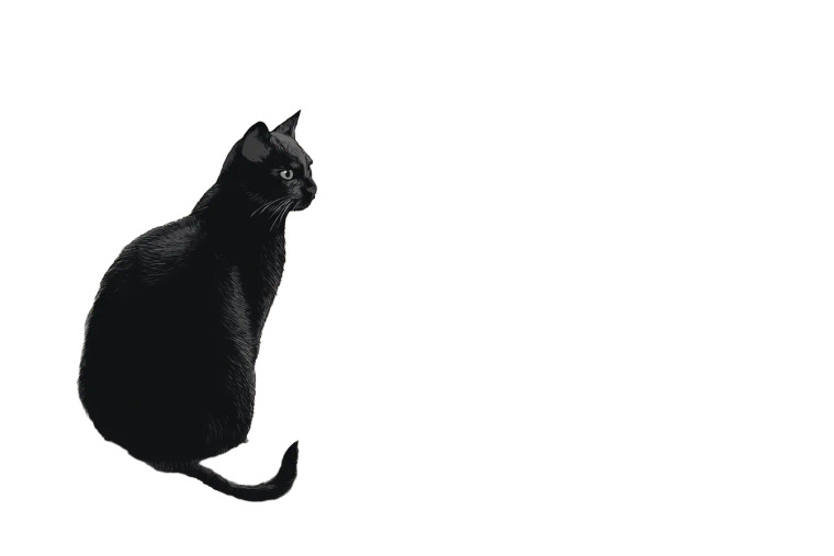 Black Cat Illustration Vinyl Car Decal Sticker – Waterproof & UV-Resistant 8"