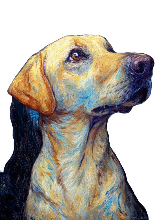 Starry Night Labrador Vinyl Car Decal Sticker – Waterproof & UV-Resistant 8"