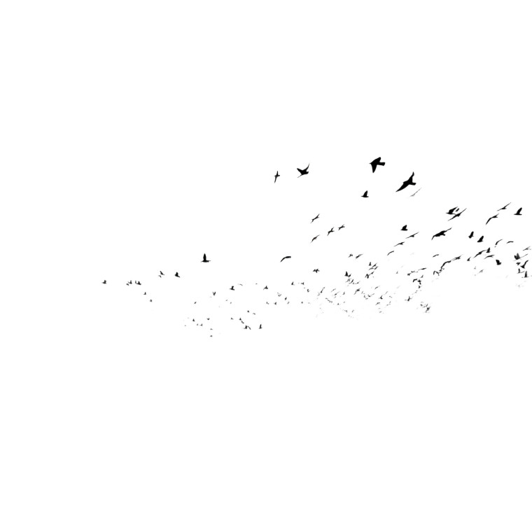 Flying Bird Silhouettes Vinyl Car Decal Sticker – Waterproof & UV-Resistant 8"