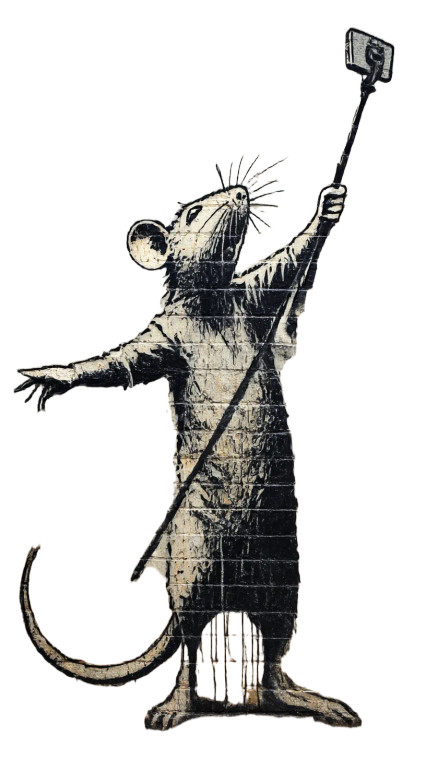 Graffiti Rat Selfie Vinyl Car Decal Sticker – Waterproof & UV-Resistant 8"