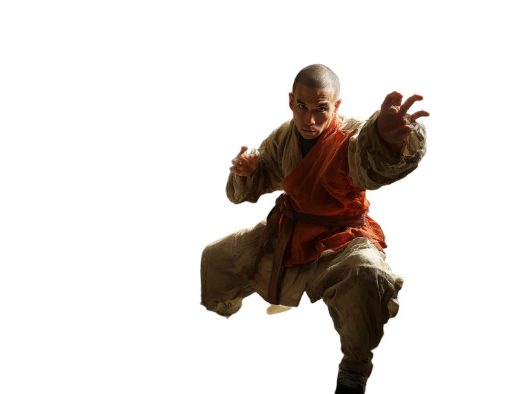 Kung Fu Master V9 Vinyl Car Decal Sticker – Waterproof & UV-Resistant 8"