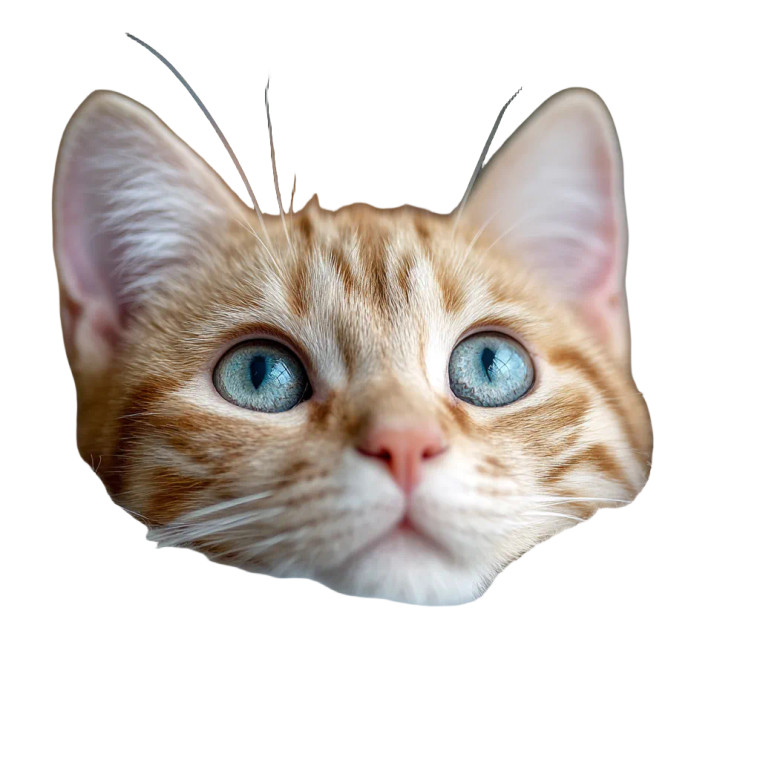 Cute Cat V16 Vinyl Car Decal Sticker – Waterproof & UV-Resistant 8"