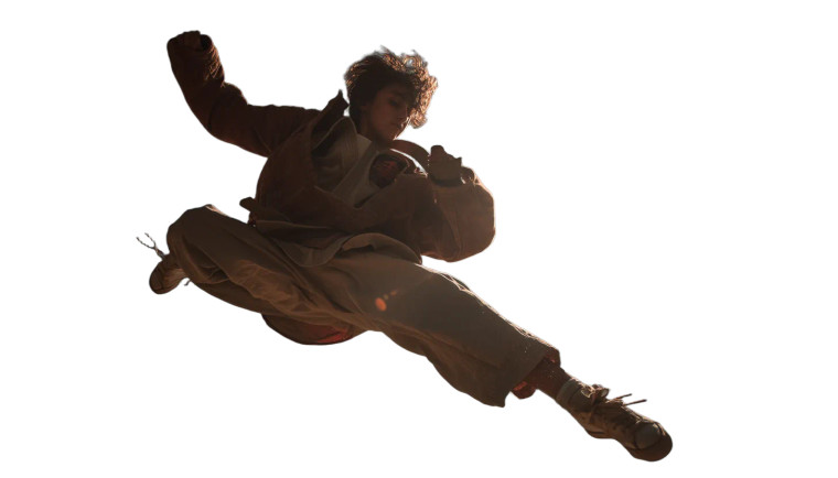 Flying Kick Silhouette Vinyl Car Decal Sticker – Waterproof & UV-Resistant 8"