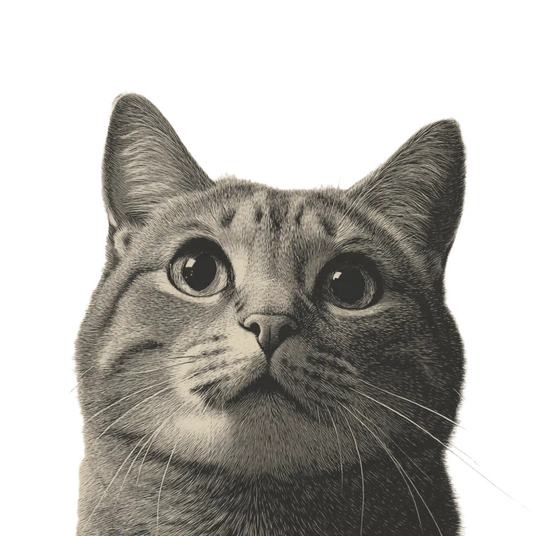 A Cat V23 Vinyl Car Decal Sticker – Waterproof & UV-Resistant 8"