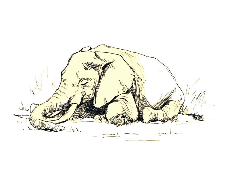 Sleeping Elephant Vinyl Car Decal Sticker – Waterproof & UV-Resistant 8"