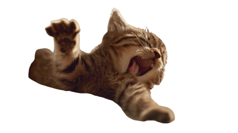 Stretching Kitten Yawning Vinyl Car Decal Sticker – Waterproof & UV-Resistant 8"