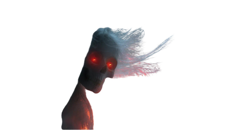 Spooky Skeleton Head Vinyl Car Decal Sticker – Waterproof & UV-Resistant 8"