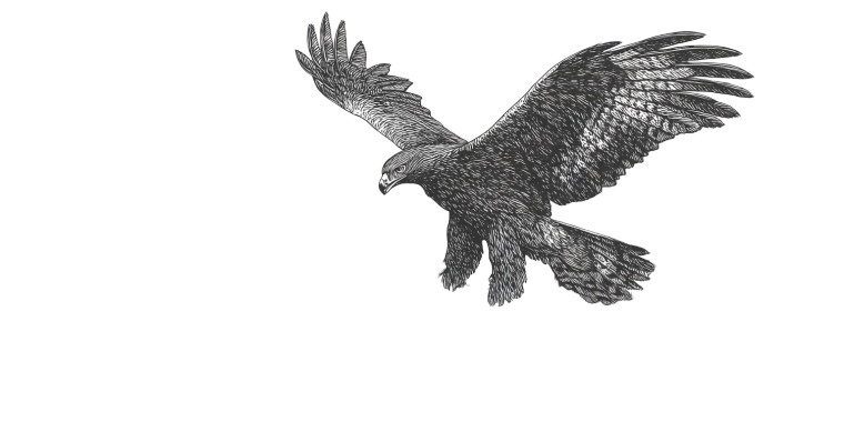 Golden Eagle Flight Vinyl Car Decal Sticker – Waterproof & UV-Resistant 8"