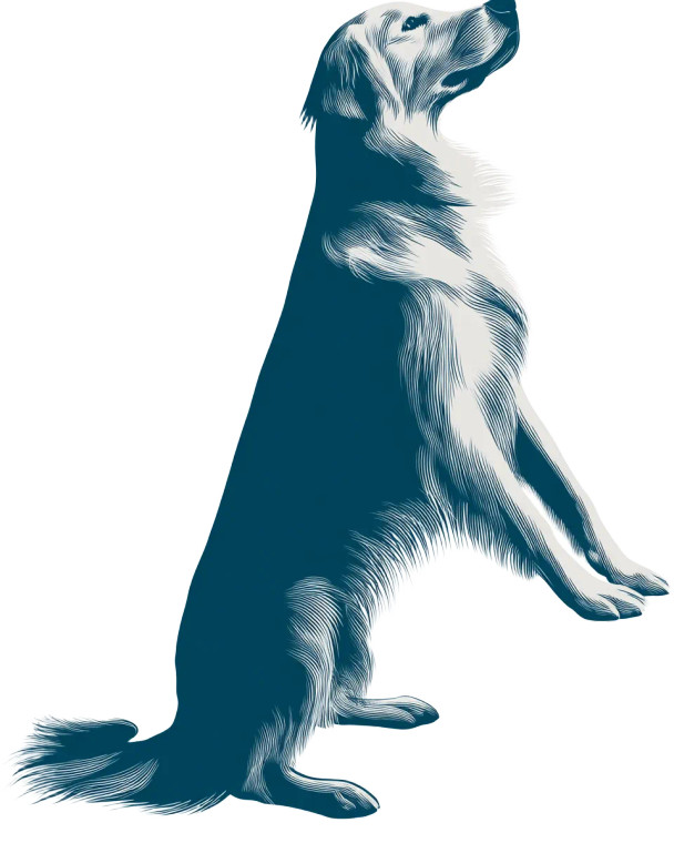 Golden Retriever Silhouette Vinyl Car Decal Sticker – Waterproof & UV-Resistant 8"