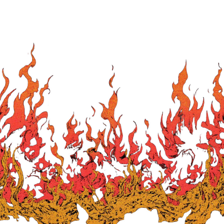 Flames Vinyl Car Decal Sticker – Waterproof & UV-Resistant 8"