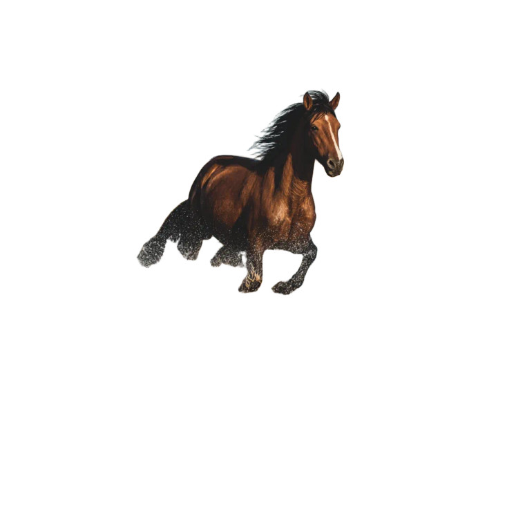 Running Brown Horse Vinyl Car Decal Sticker – Waterproof & UV-Resistant 8"