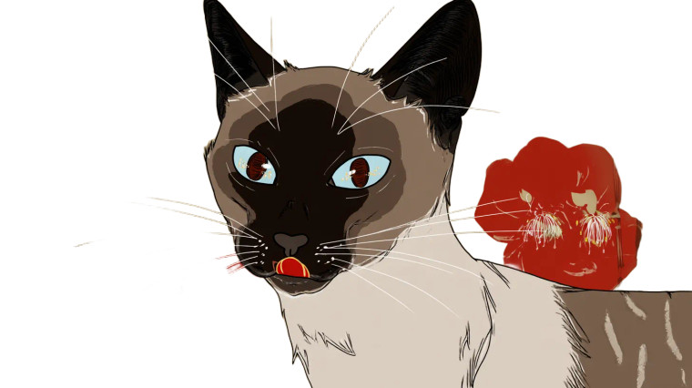 Neurotic Siamese Cat Vinyl Car Decal Sticker – Waterproof & UV-Resistant 8"