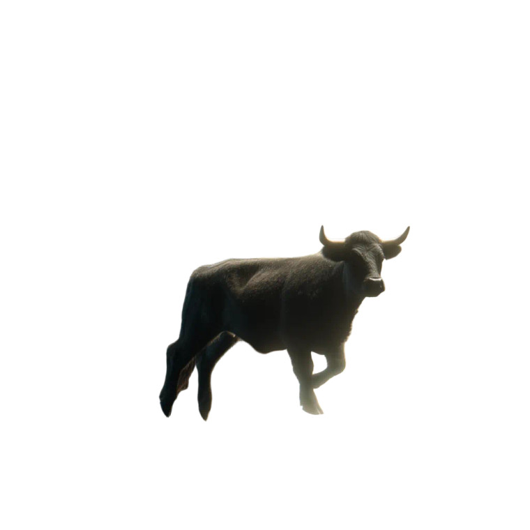 Cow On Moon Vinyl Car Decal Sticker – Waterproof & UV-Resistant 8"