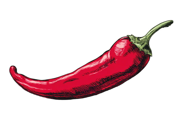 Red Chili Logo Vinyl Car Decal Sticker – Waterproof & UV-Resistant 8"