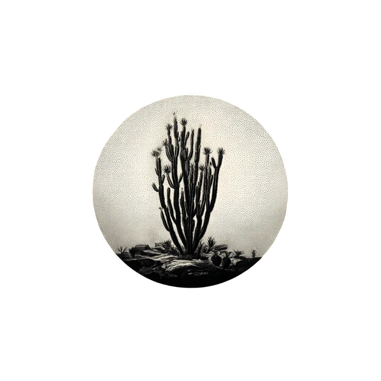 Cacti Iconography Poster Vinyl Car Decal Sticker – Waterproof & UV-Resistant 8"