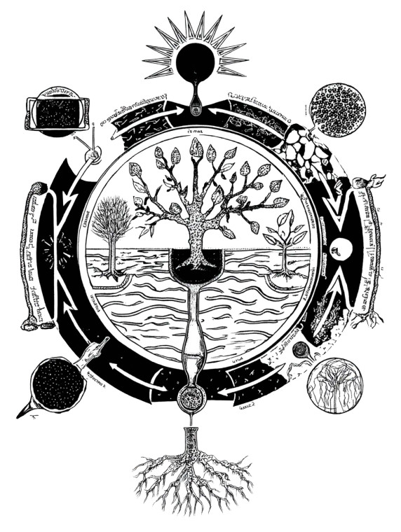 Tree Cycle Mandala Vinyl Car Decal Sticker – Waterproof & UV-Resistant 8"