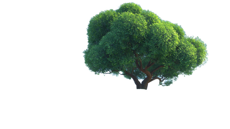 Green Hill Tree Vinyl Car Decal Sticker – Waterproof & UV-Resistant 8"