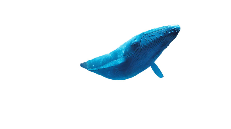 Surreal Subway Whale Vinyl Car Decal Sticker – Waterproof & UV-Resistant 8"