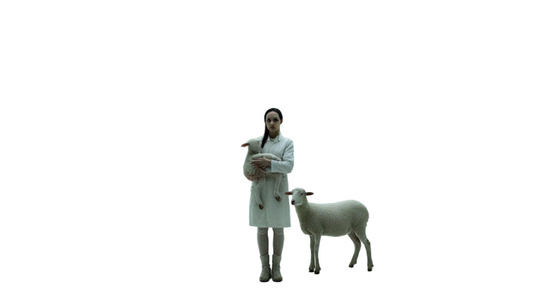 Madonna With Lamb Vinyl Car Decal Sticker – Waterproof & UV-Resistant 8"