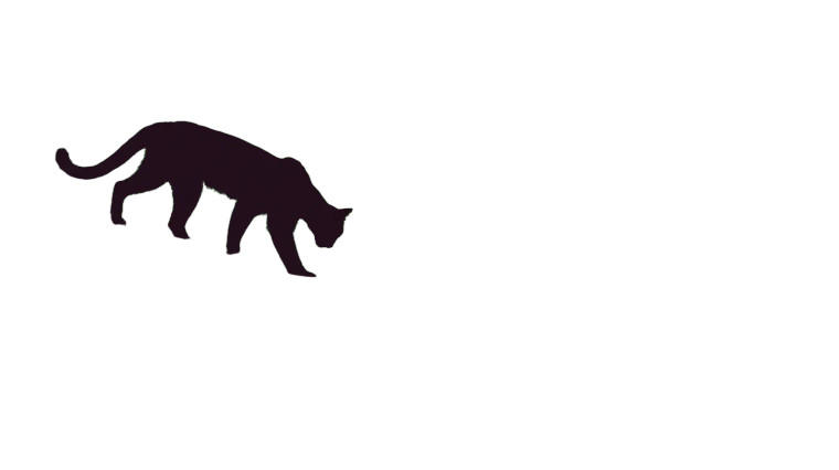Mountain Lion Stalking Vinyl Car Decal Sticker – Waterproof & UV-Resistant 8"