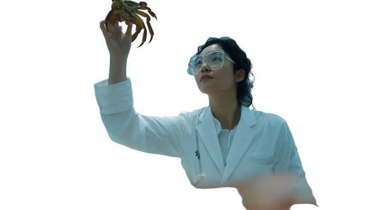 Lab Scientist With Crab Vinyl Car Decal Sticker – Waterproof & UV-Resistant 8"