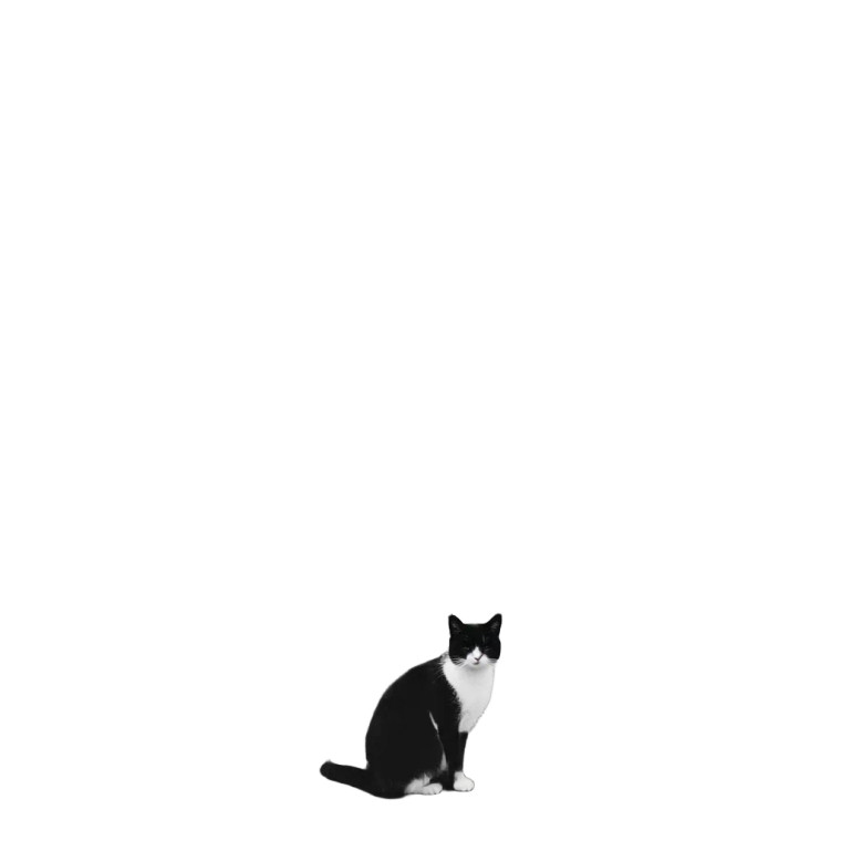 Black And White Cat V2 Vinyl Car Decal Sticker – Waterproof & UV-Resistant 8"