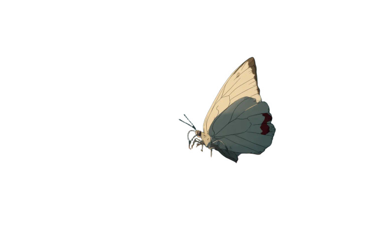 White Butterfly Vinyl Car Decal Sticker – Waterproof & UV-Resistant 8"