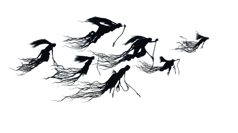 Dementors Flying Vinyl Car Decal Sticker – Waterproof & UV-Resistant 8"
