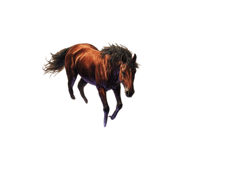 Panicking Fantasy Horse Vinyl Car Decal Sticker – Waterproof & UV-Resistant 8"