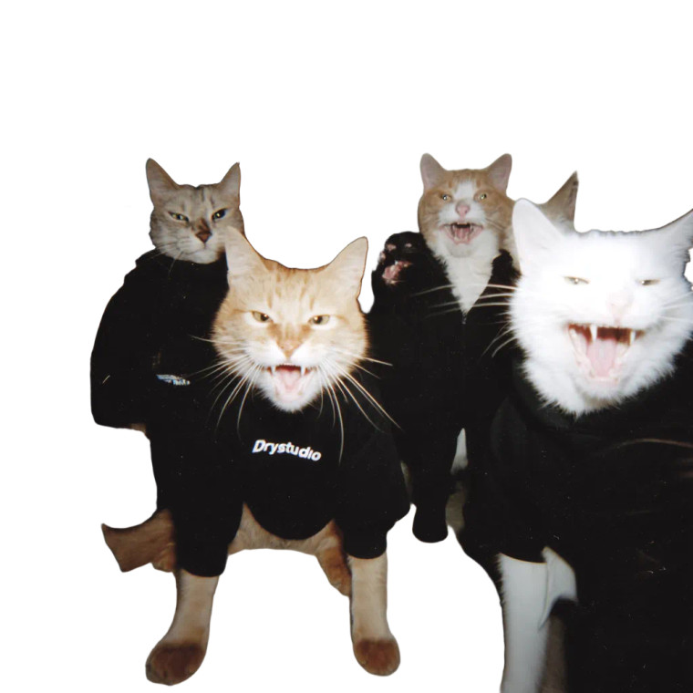 Angry Hoodie Cats V8 Vinyl Car Decal Sticker – Waterproof & UV-Resistant 8"