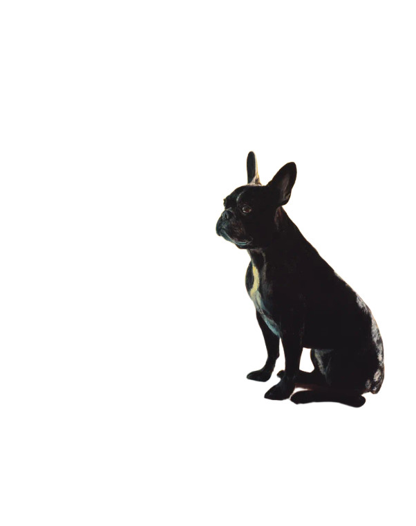 French Bulldog Painting Vinyl Car Decal Sticker – Waterproof & UV-Resistant 8"