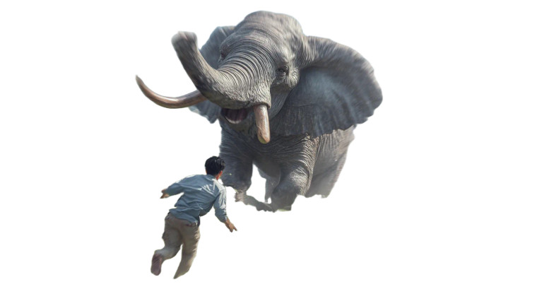 Charging Elephant Chase Vinyl Car Decal Sticker – Waterproof & UV-Resistant 8"