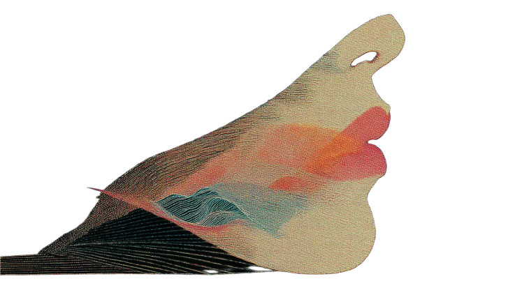 Surreal Mouth Portrait Vinyl Car Decal Sticker – Waterproof & UV-Resistant 8"