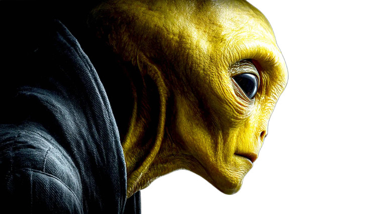 Alien Woman Portrait V3 Vinyl Car Decal Sticker – Waterproof & UV-Resistant 8"