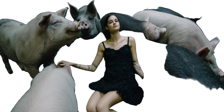 Glamorous Model With Pigs Vinyl Car Decal Sticker – Waterproof & UV-Resistant 8"