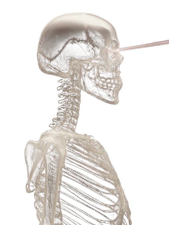 Skeleton Laser Eyes Vinyl Car Decal Sticker – Waterproof & UV-Resistant 8"