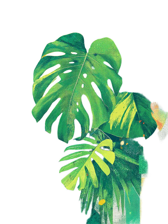 Palm Leaf Illustration Vinyl Car Decal Sticker – Waterproof & UV-Resistant 8"