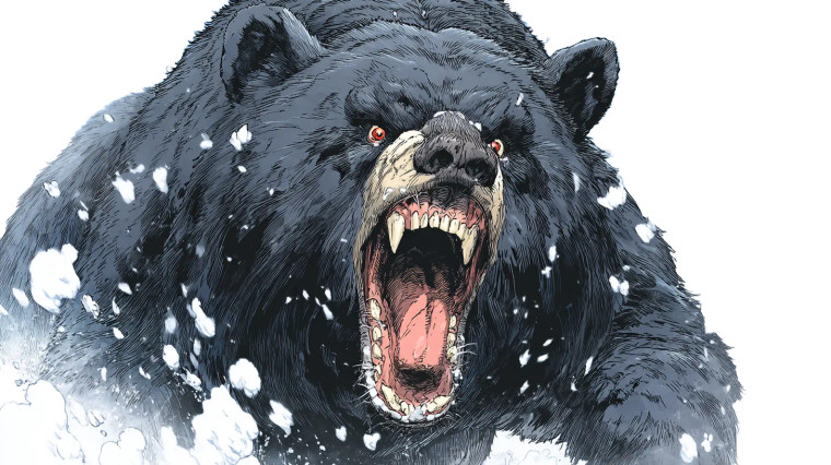 Ferocious Bear Portrait Vinyl Car Decal Sticker – Waterproof & UV-Resistant 8"