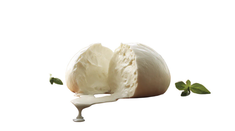 Mozzarella Cheese Slice Vinyl Car Decal Sticker – Waterproof & UV-Resistant 8"