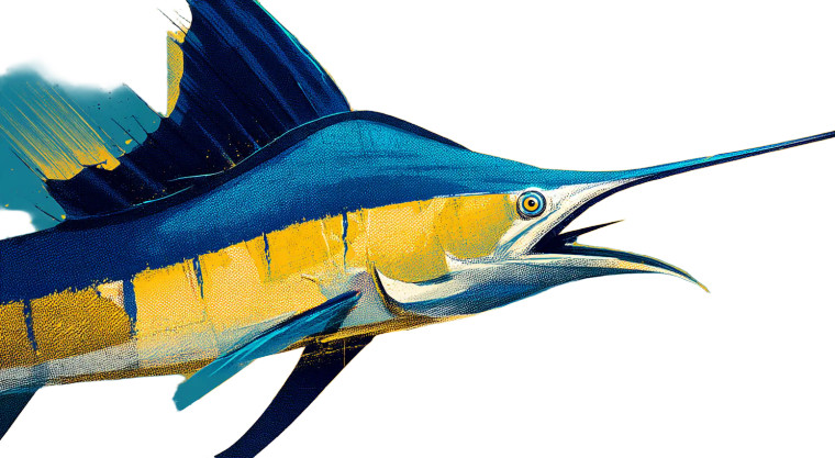 Stylized Sailfish Illustrations Vinyl Car Decal Sticker – Waterproof & UV-Resistant 8"