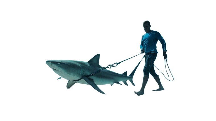 Man Walking Shark Vinyl Car Decal Sticker – Waterproof & UV-Resistant 8"