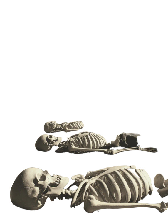 Surreal Cosmic Collage Vinyl Car Decal Sticker – Waterproof & UV-Resistant 8"