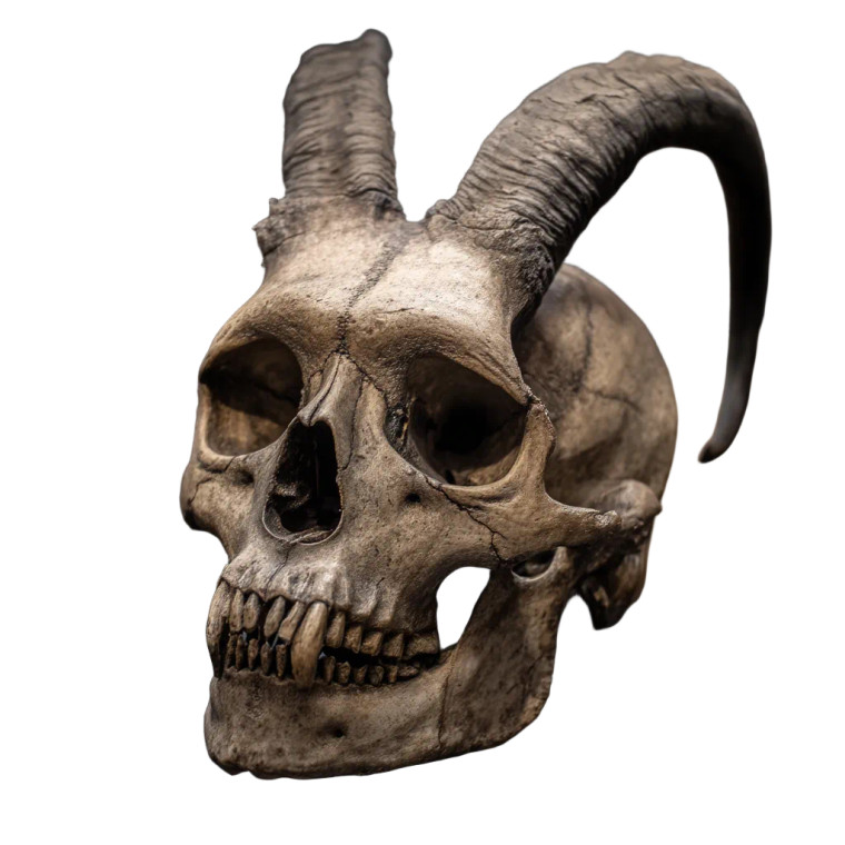 Goat-Horned Skull V2 Vinyl Car Decal Sticker – Waterproof & UV-Resistant 8"