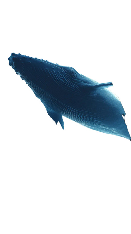 Giant Blue Whale Vinyl Car Decal Sticker – Waterproof & UV-Resistant 8"
